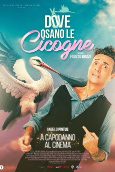 Dove osano le cicogne 2025